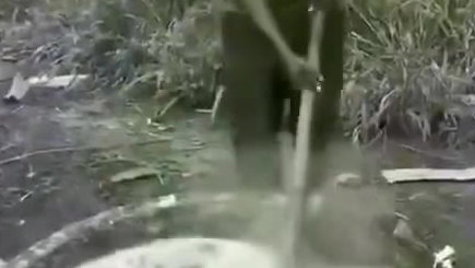 黑人蛋炒饭